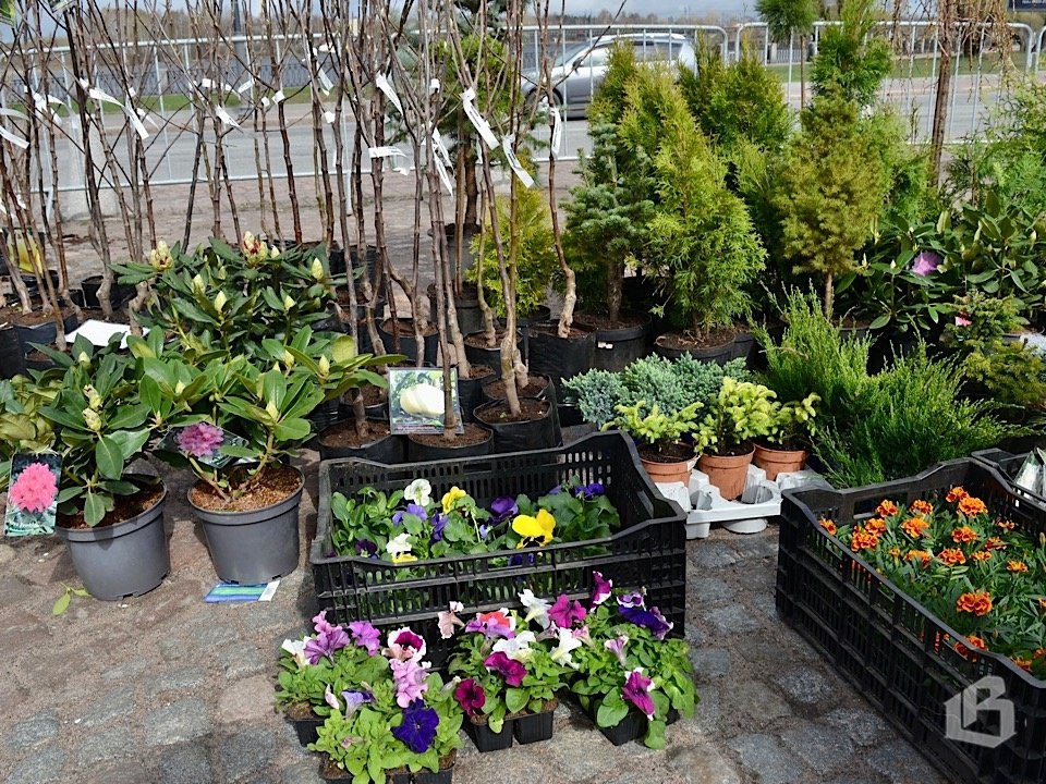 Сельхозярмарка