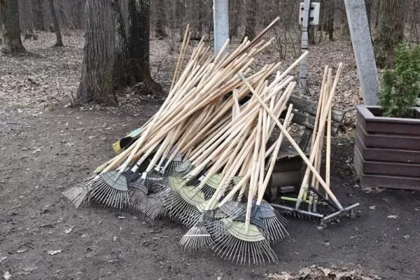 Общероссийский субботник