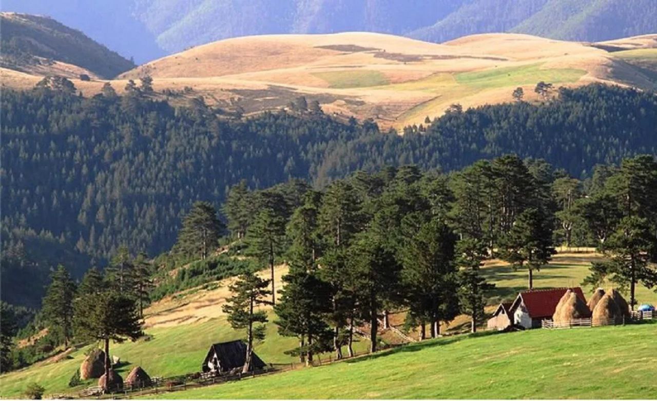 Златибор - знаменитый курорт Сербии