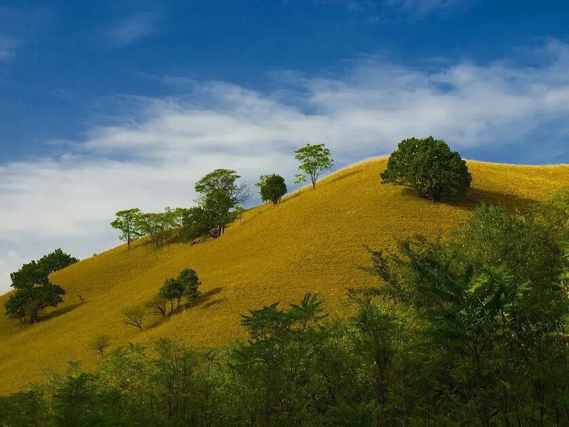 Экскурсия: Вршац-Бела Церква-Делиблатская пустыня