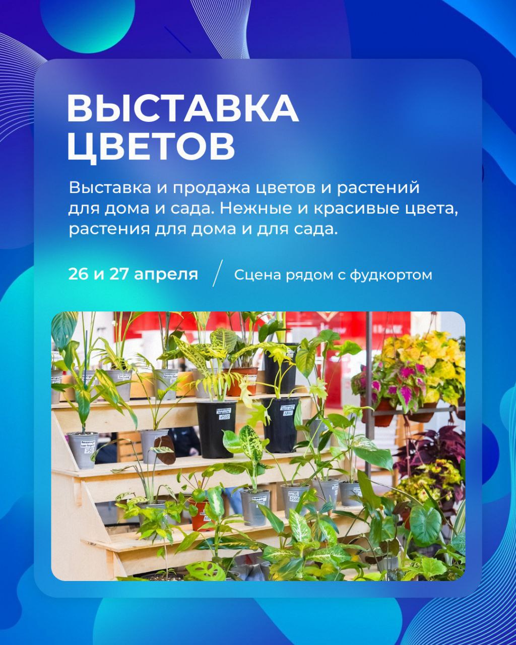 Выходные в ТРК "Галактика"