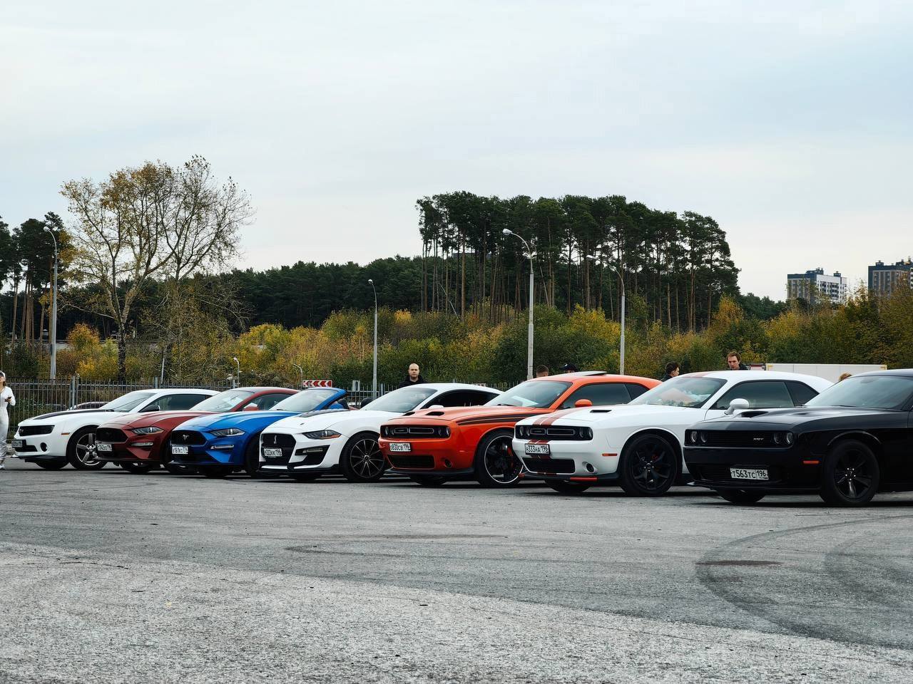 маслкары открывают сезон