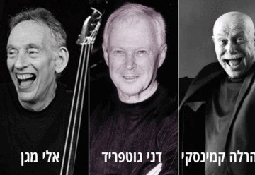 Концерт трио Дани Готфрида