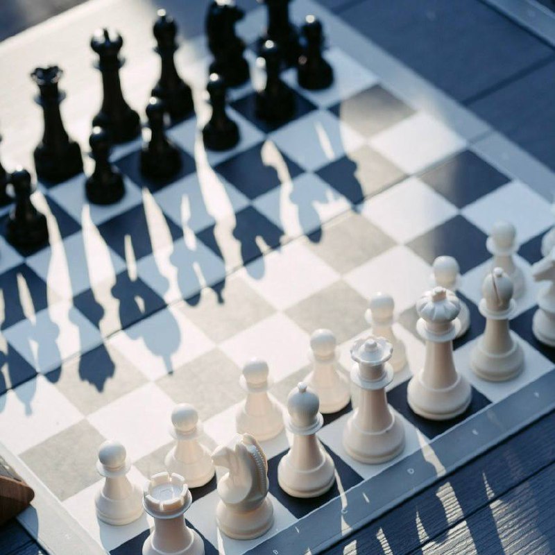 Играем в шахматы в парке