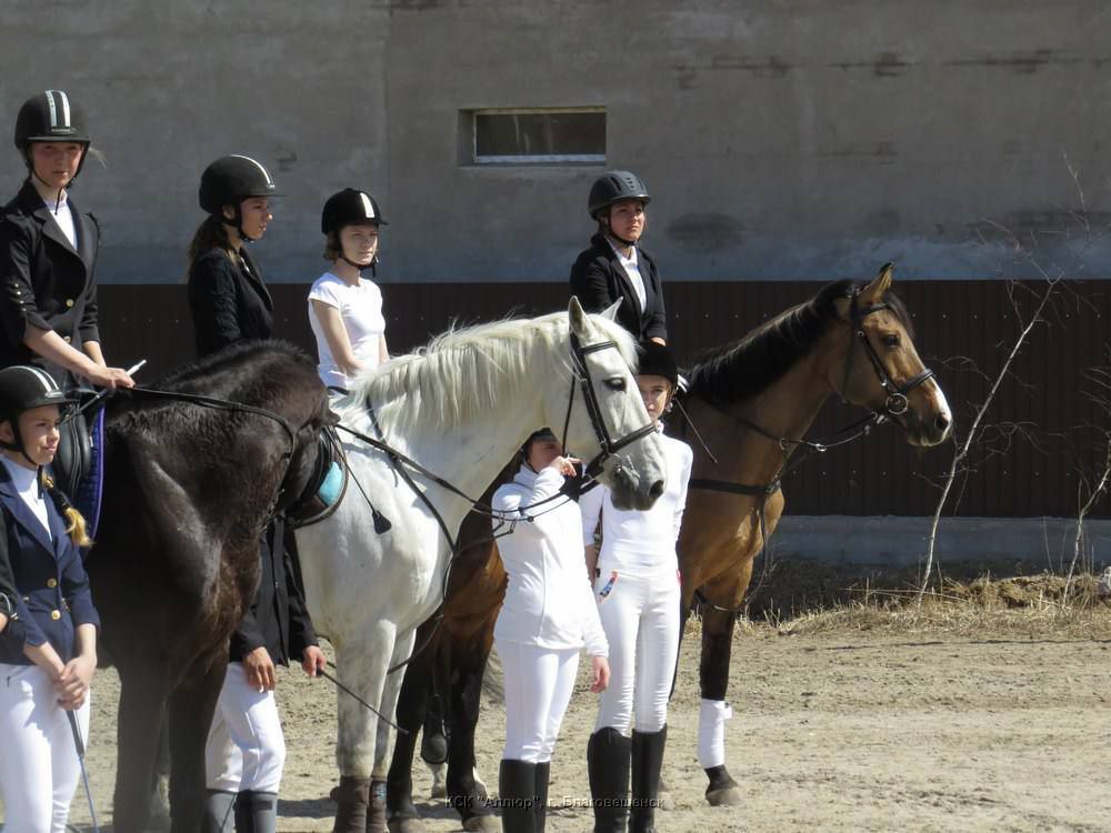 Конный праздник в «Аллюре»