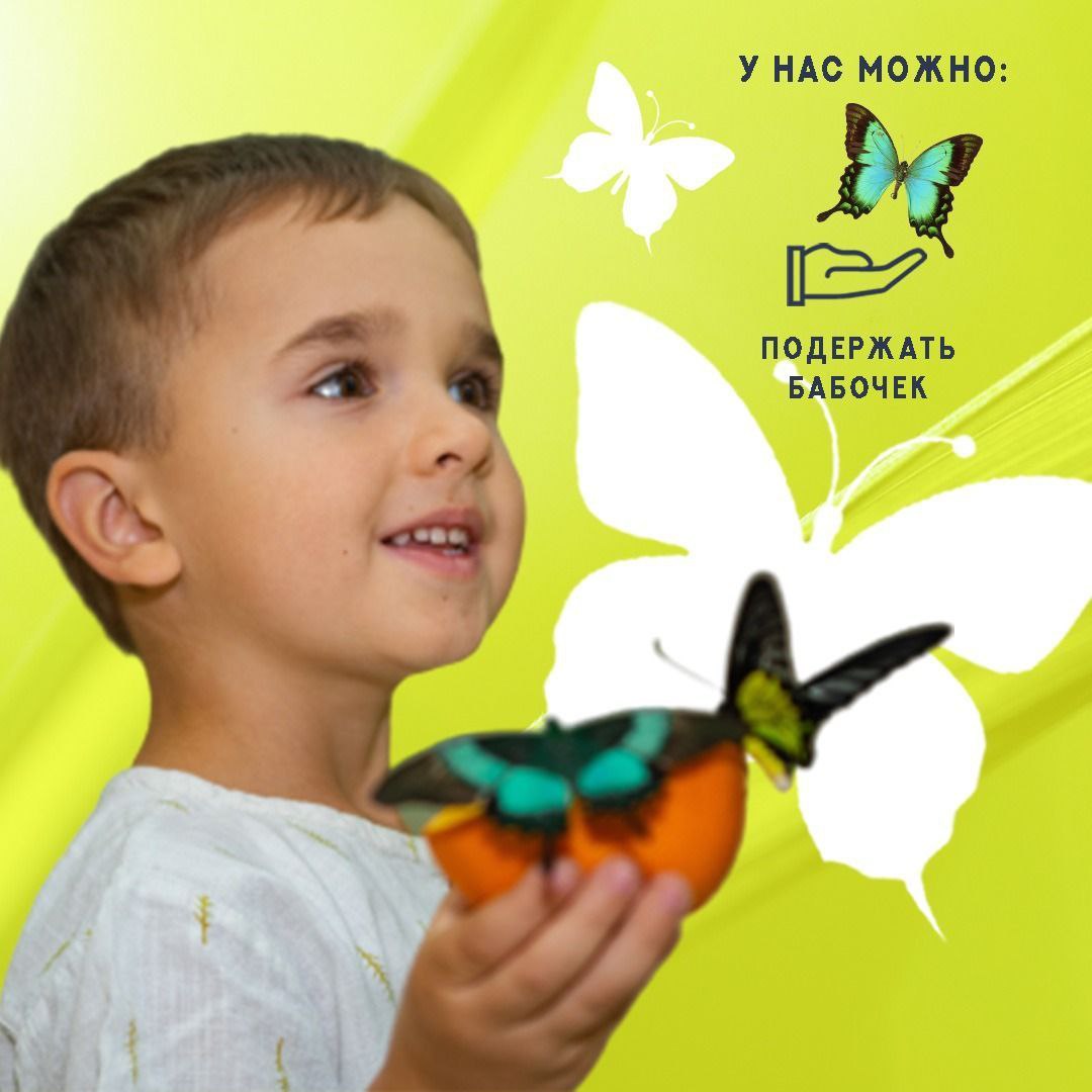 Выставка "Сад живых тропических бабочек"