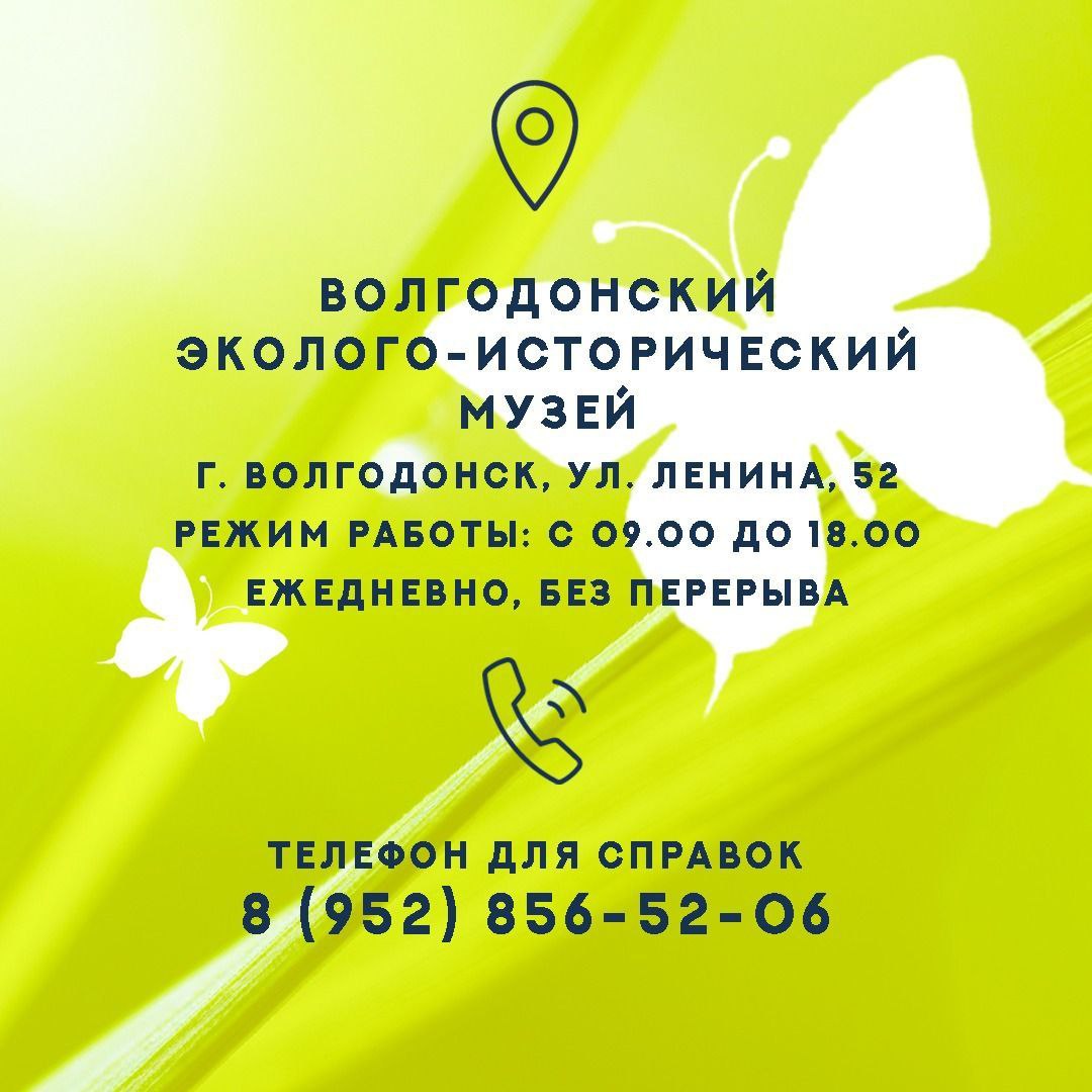 Выставка "Сад живых тропических бабочек"