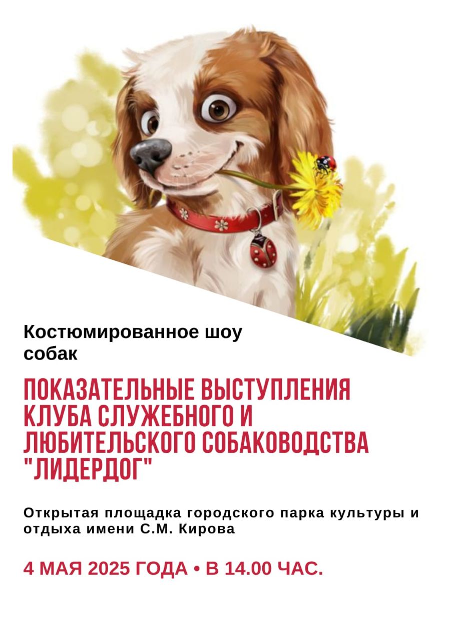 Праздничная программа в парке им. Кирова на 1 мая 2025 года