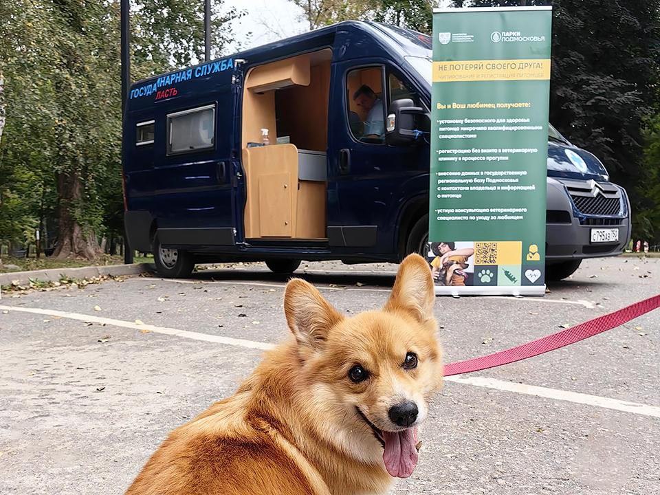 Акция по регистрации и вакцинации домашних питомцев в парке Жуковского