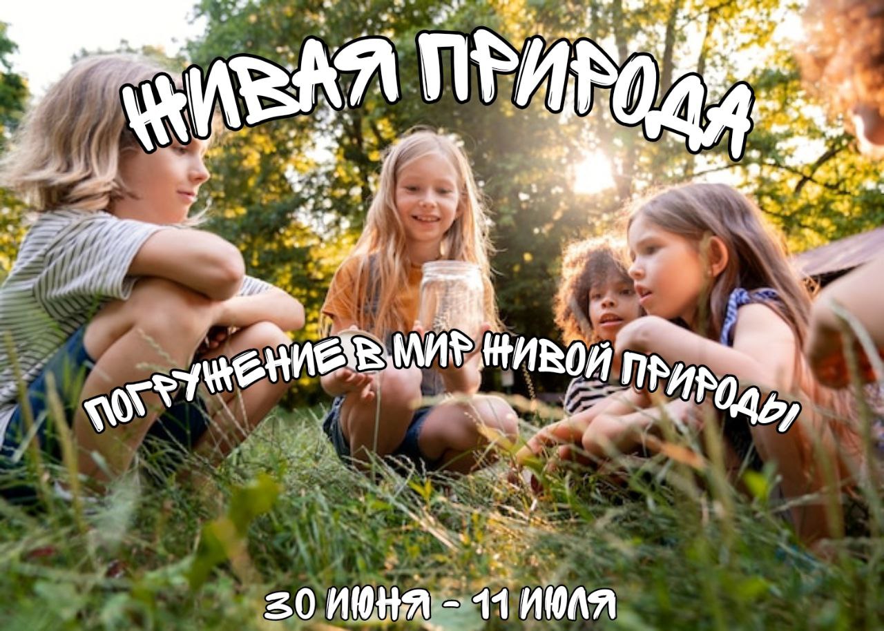 Летний лагерь в Science up