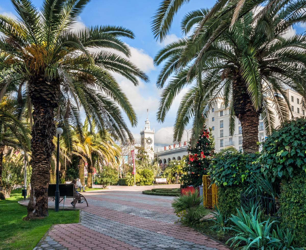 СОЧИ 🔥Каникулы ☀️