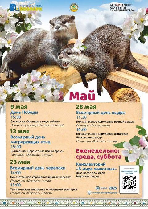 ЖИВОТНЫЕ@iz_doma_ekb