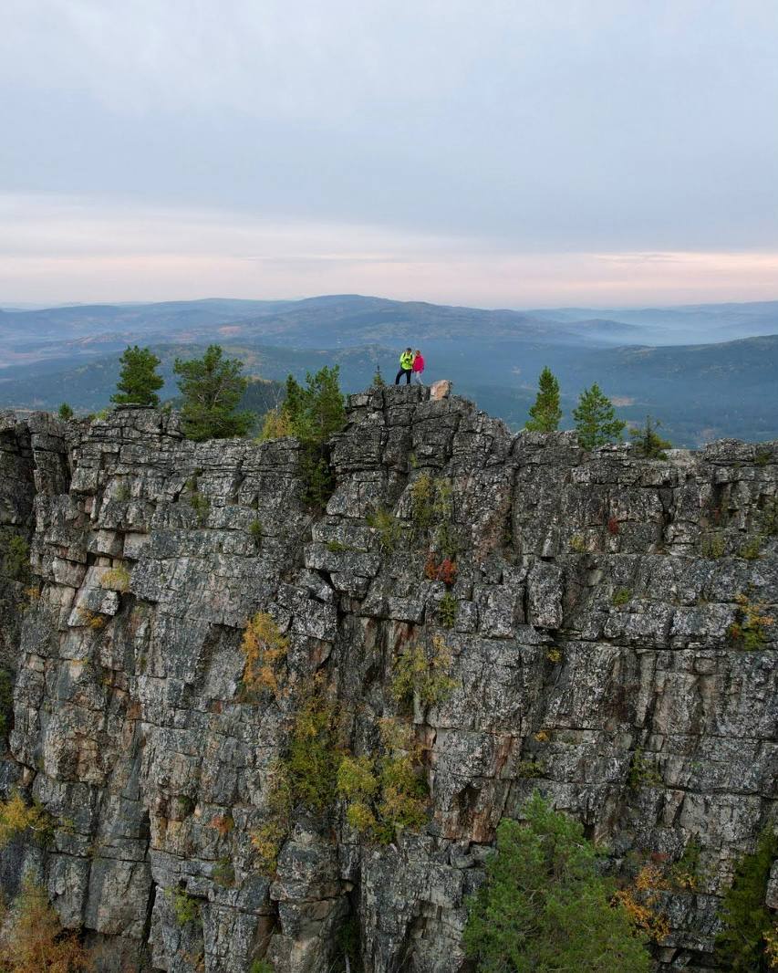 Малиновое путешествие