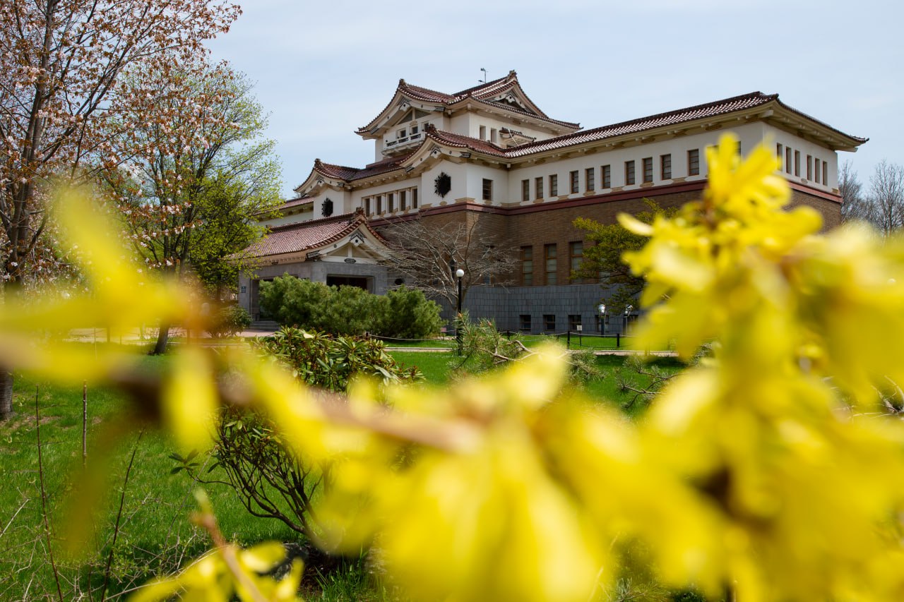 Музейная маевка