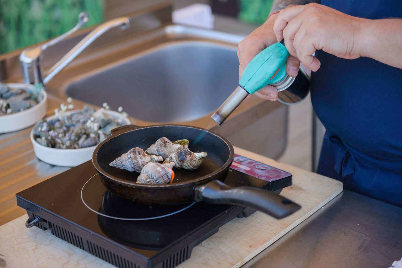 ПапоротникРАБ 2025