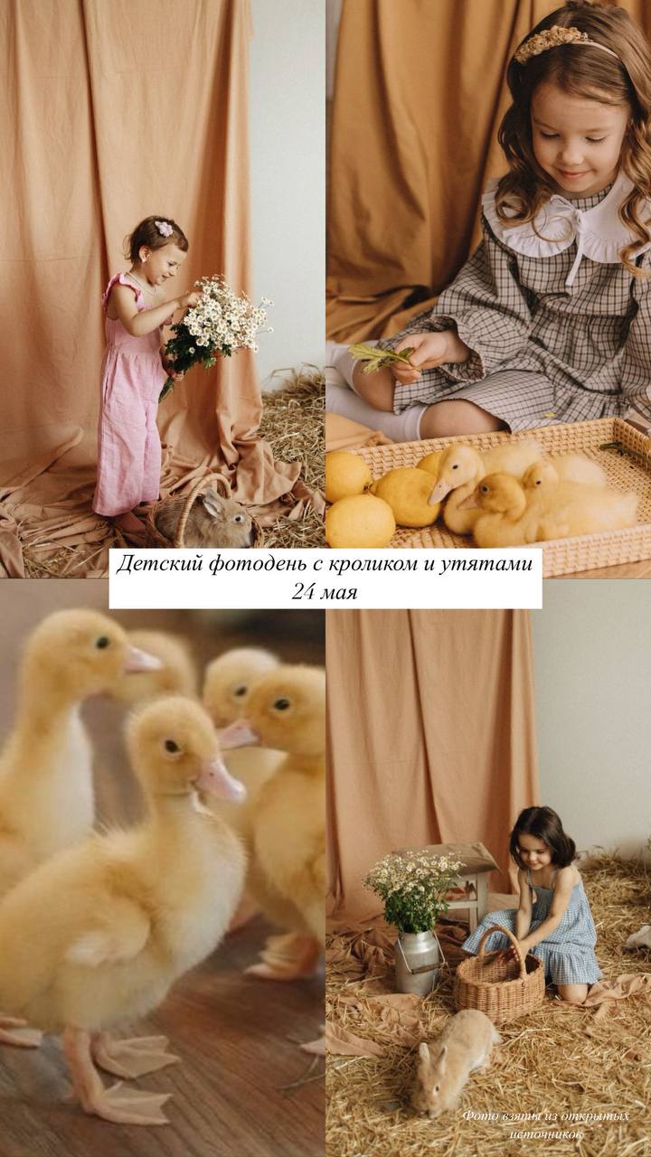 Детский фотодень с кроликом и утятами
