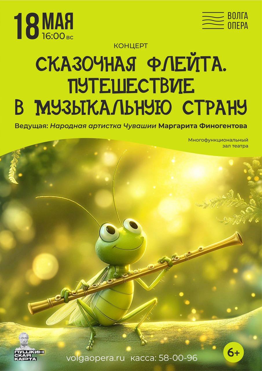 Сказочная флейта. Путешествие в музыкальную страну