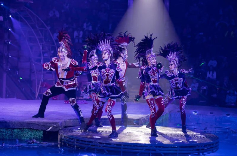 Цирк на воде. Шевченко-шоу