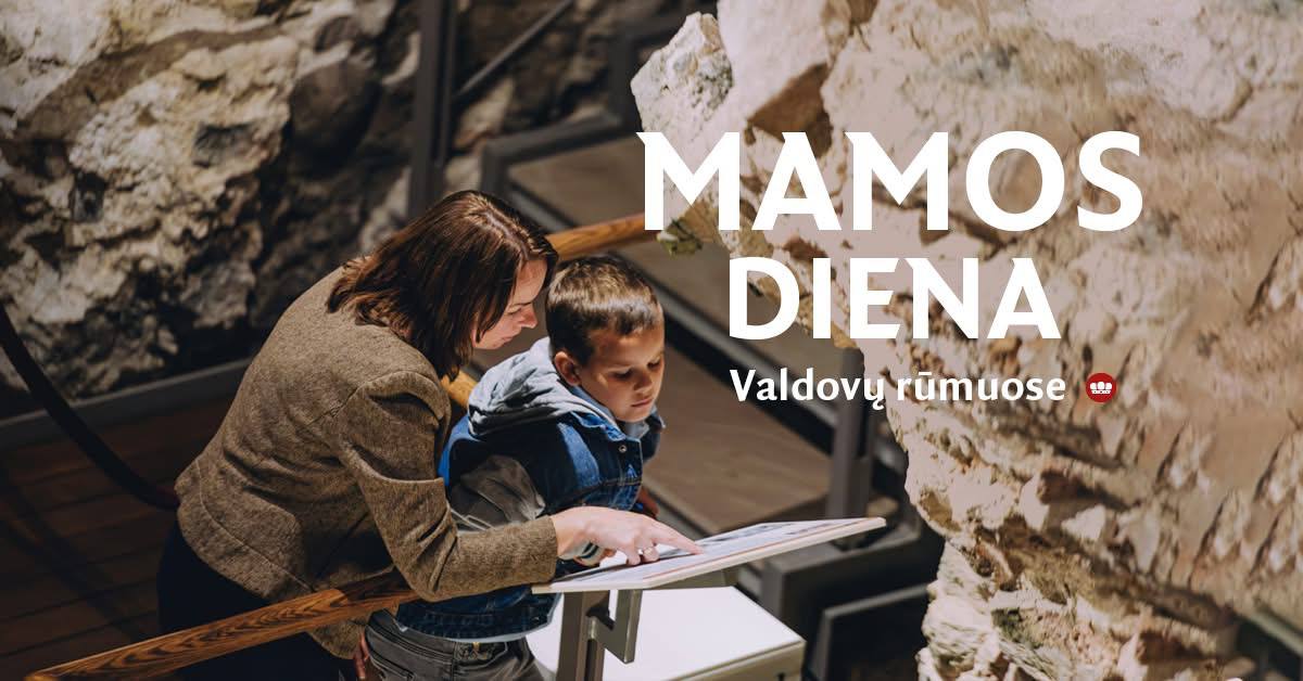 День матери в музей Valdovų rūmai