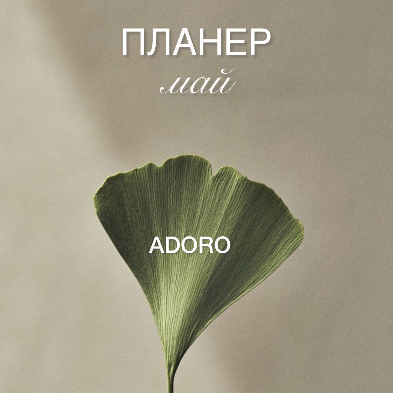 Клубные мероприятия мая 2025