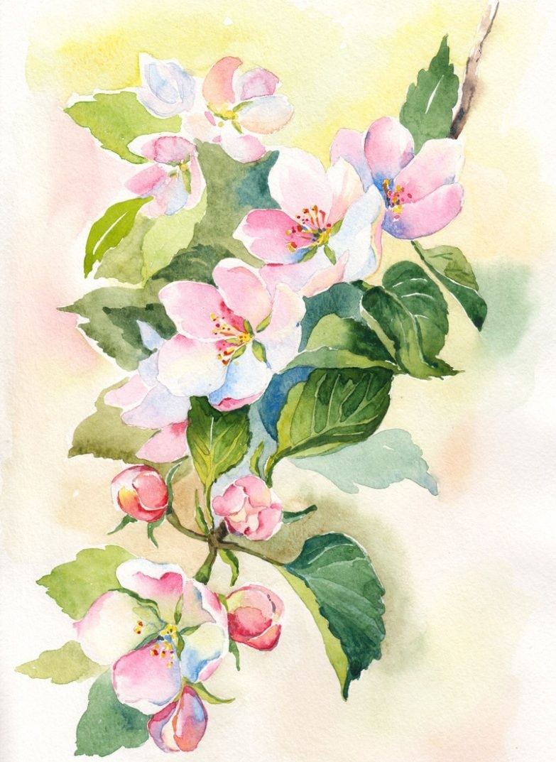 МК в Усадьбе Сукачевых