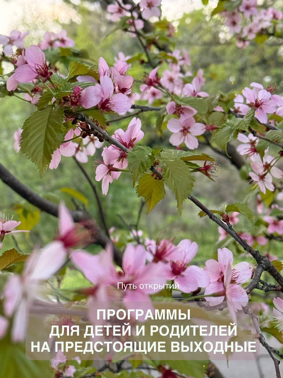 Путь открытий