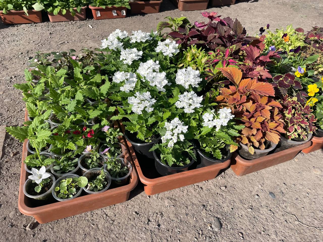 первая выставка-ярмарка