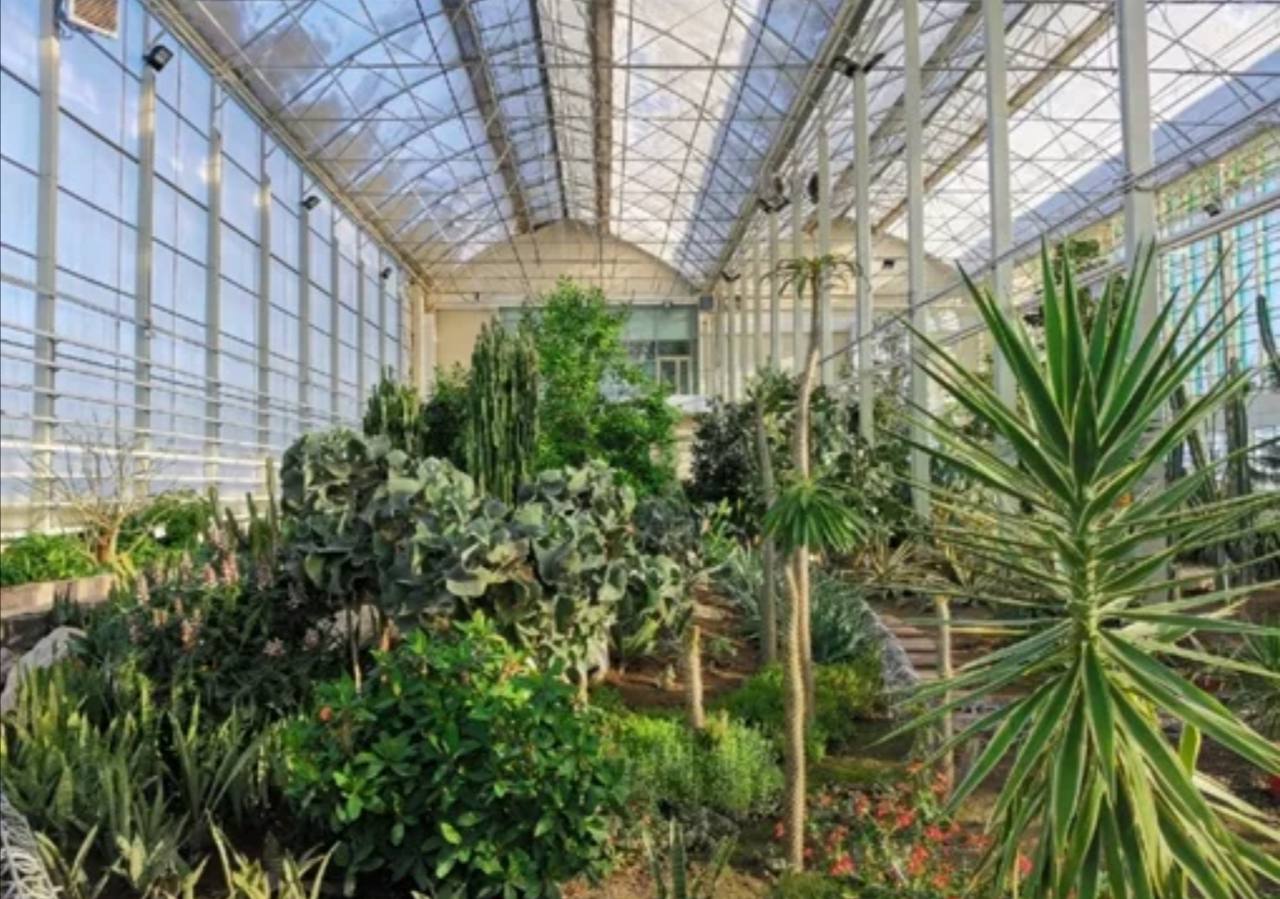 экскурсионный тур в Кемерово