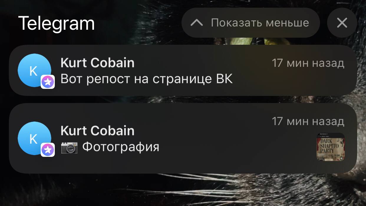 Тусовка 04.05