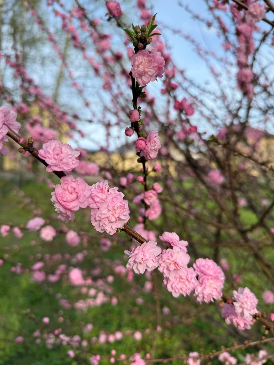 Афиша на выходные