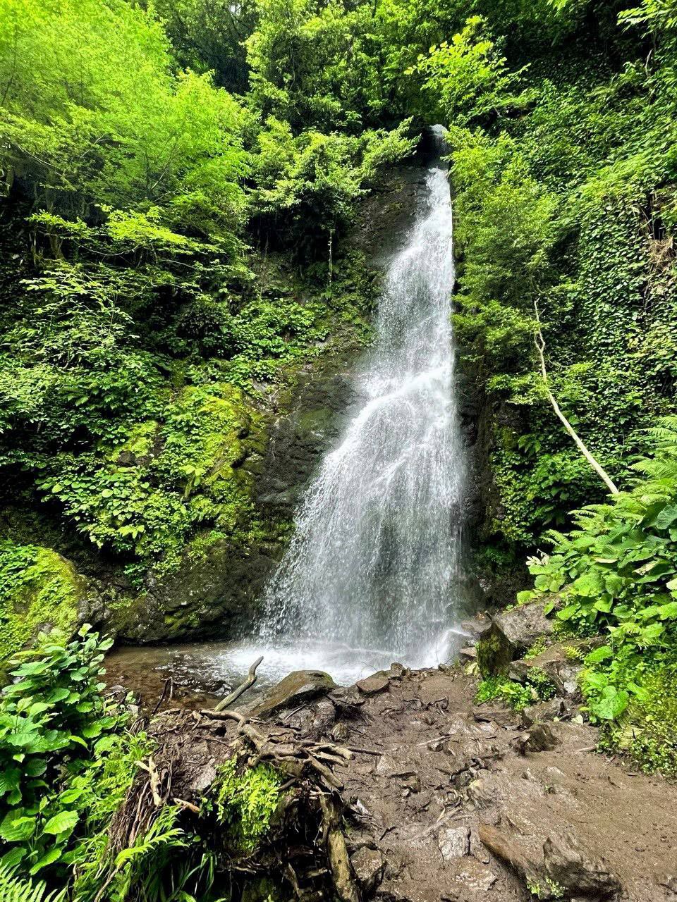 МТИРАЛА: ХАЙКИНГ ПО НАЦПАРКУ +  ENGLISH CLUB