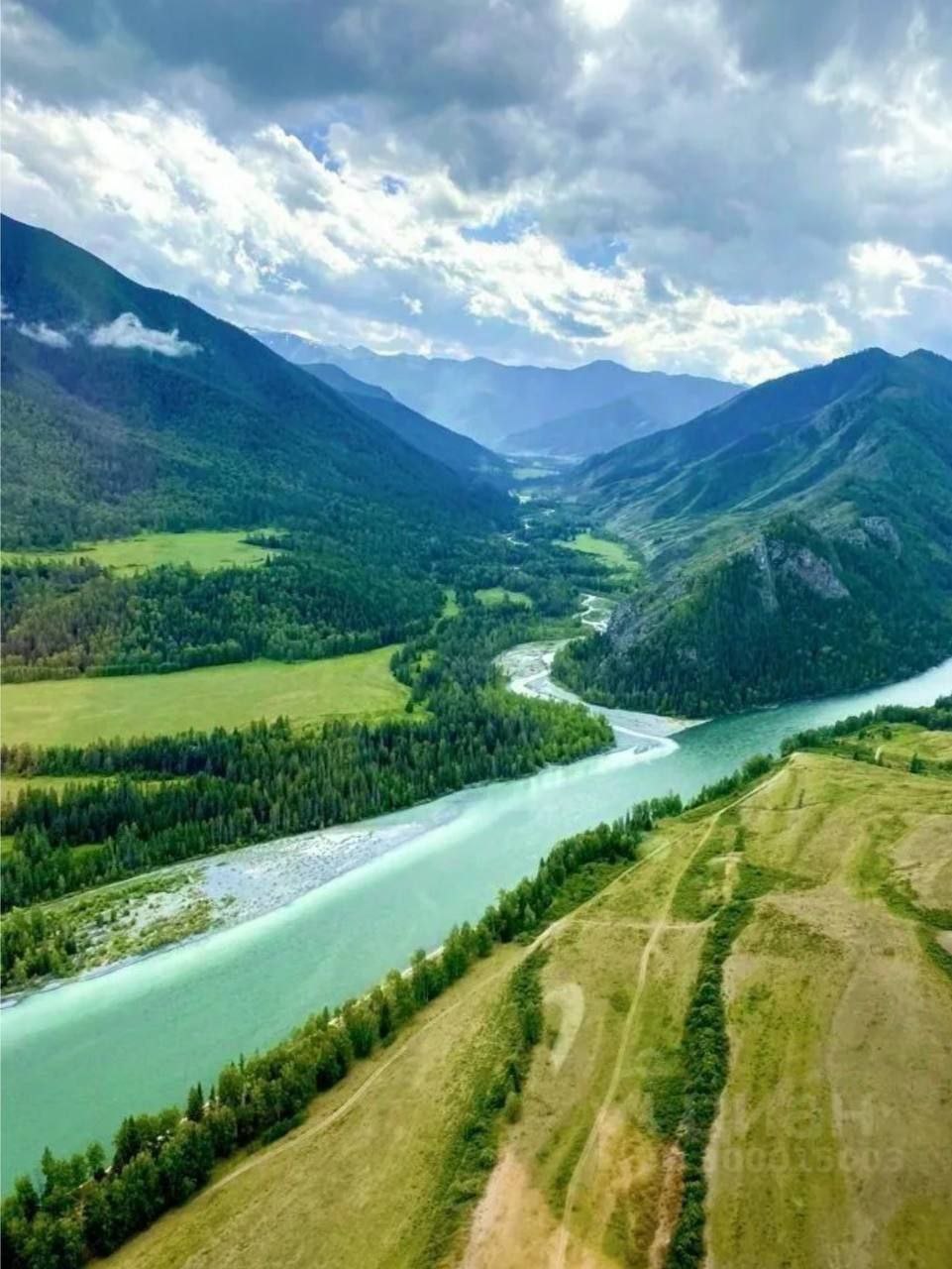 ЛЕТНИЙ АЛТАЙ