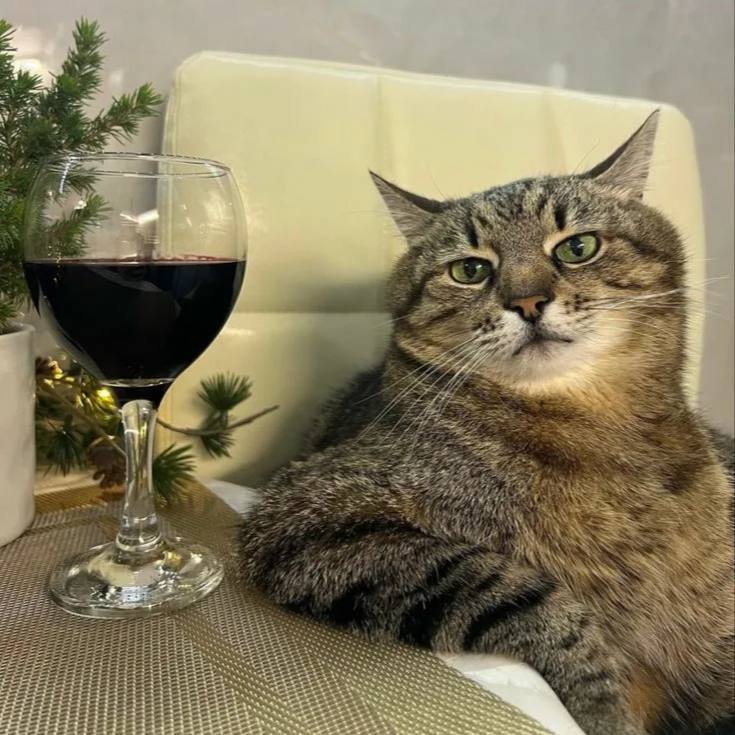 Ежегодный винный фестиваль RUSWINEFEST