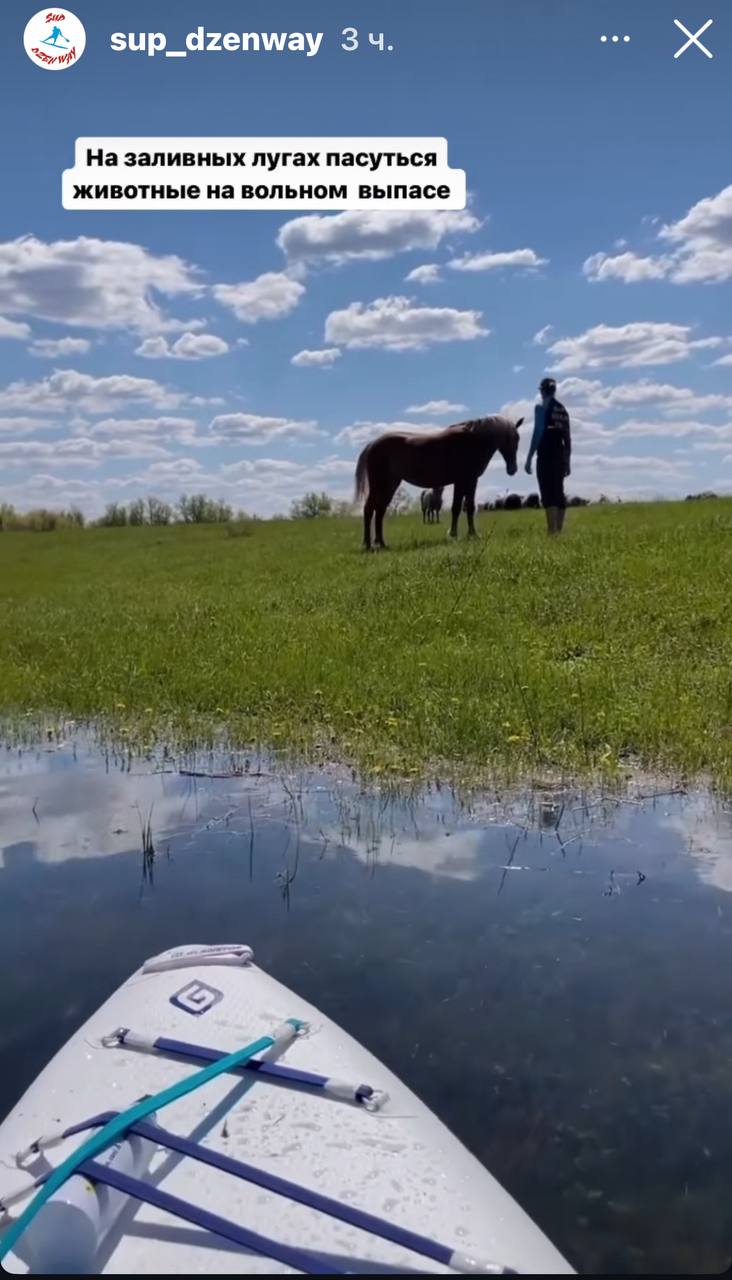 Так так так - анонс мероприятия на кэмпе Supdzenway