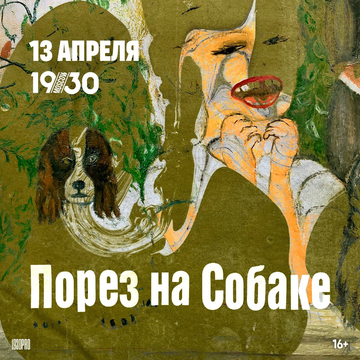 Порез на собаке