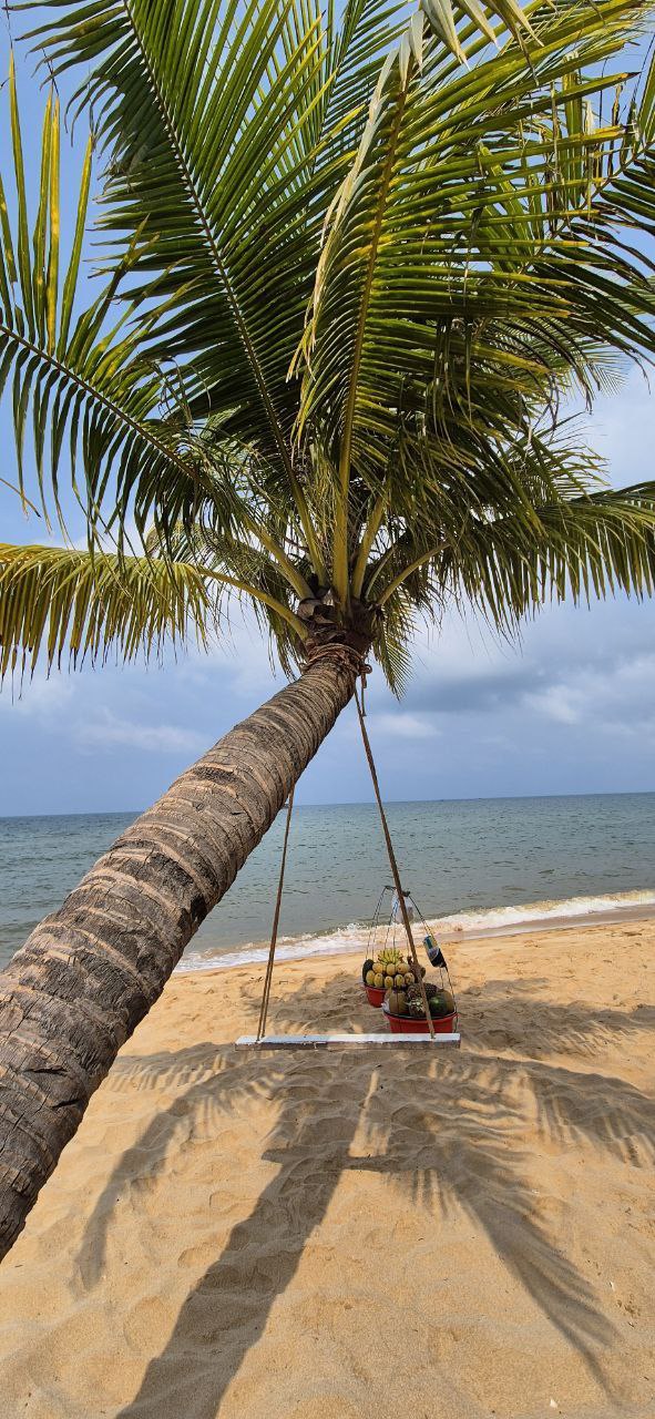 Йога-тур на Фукуоке – "Вьетнамские Мальдивы"