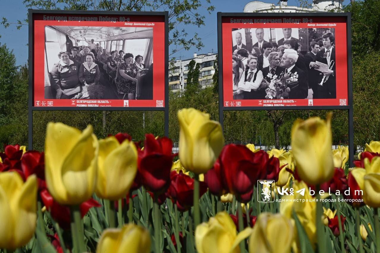 Белгород встречает Победу