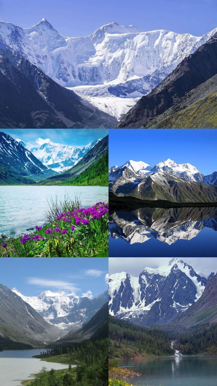 Солнцестояние