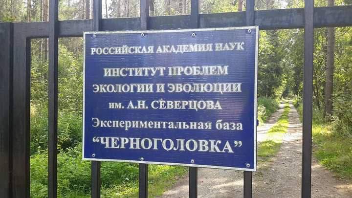 Экскурсии на научной базе в Черноголовке о куньих