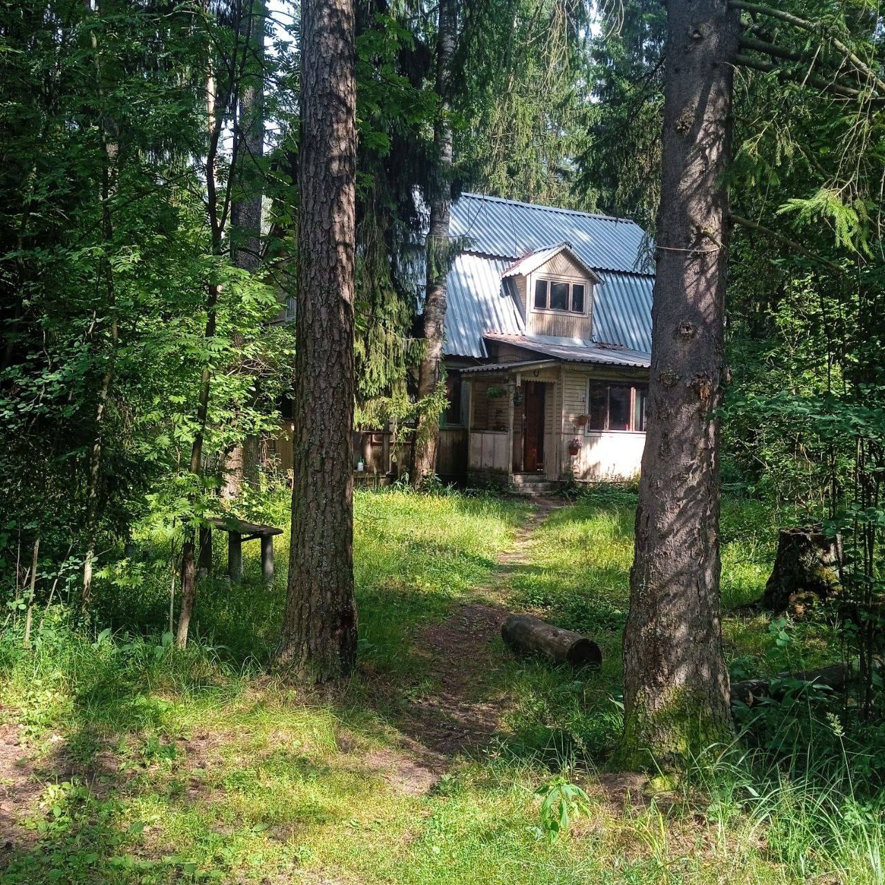 Экскурсии на научной базе в Черноголовке о куньих