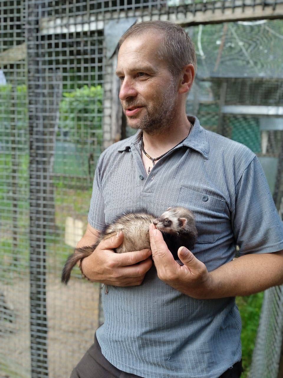 Экскурсии на научной базе в Черноголовке о куньих