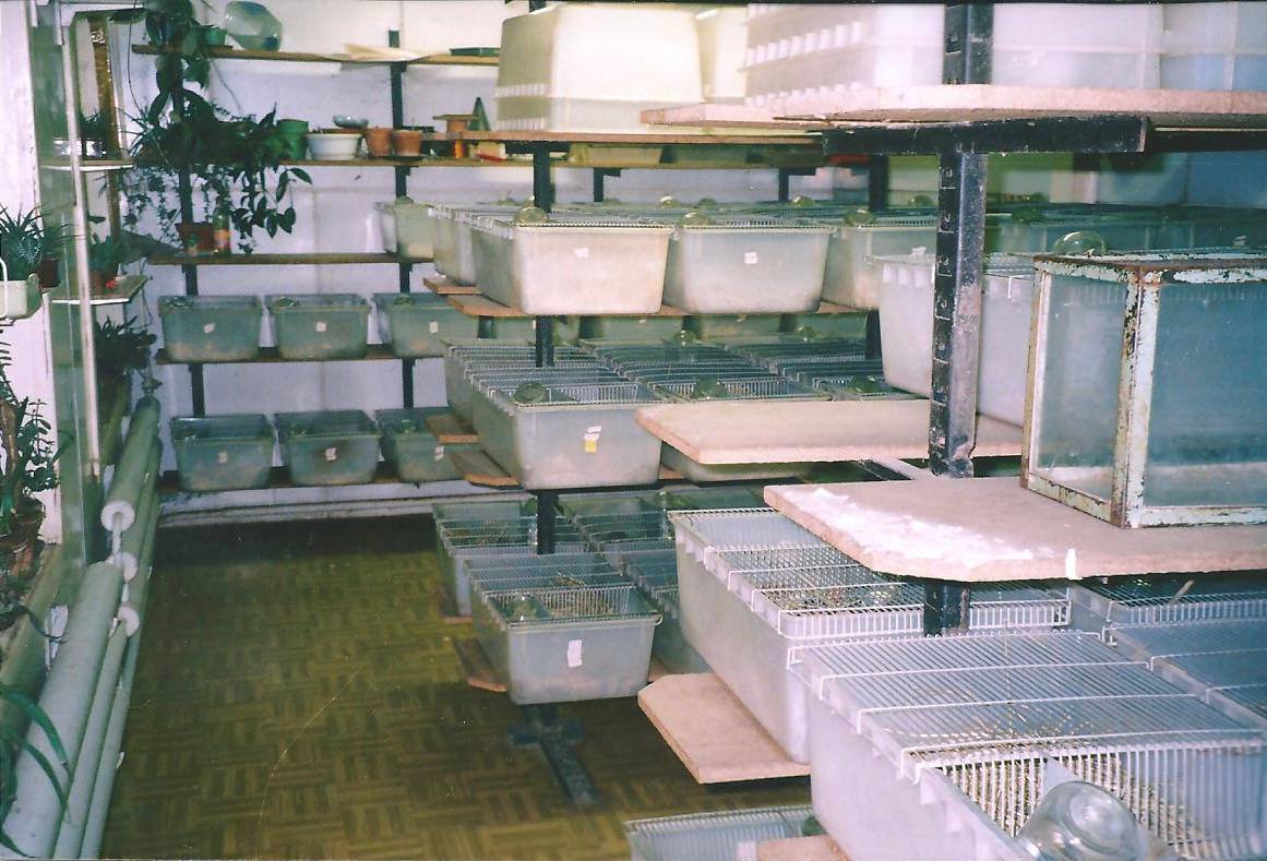 Экскурсия «К грызунам»