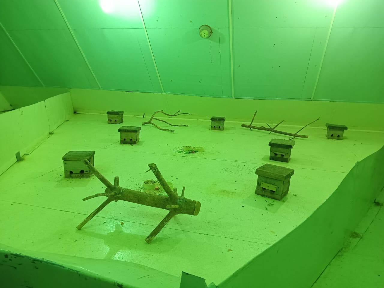 Экскурсия «К грызунам»