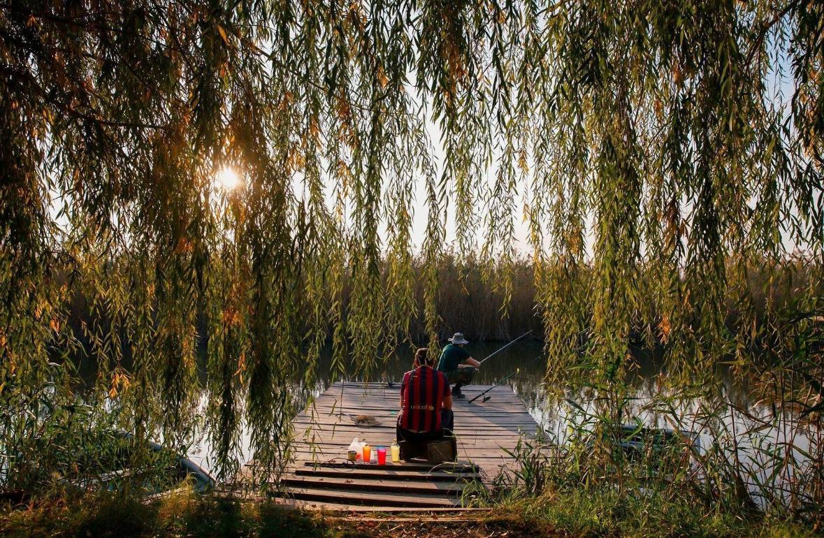 Новогодний тур в загородном комплексе Хутор Покровский