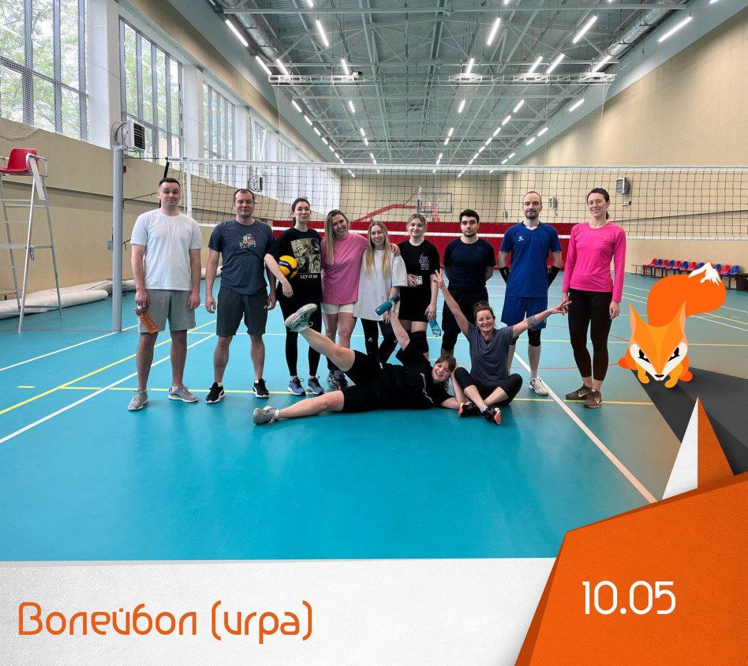 Волейбол (игра)