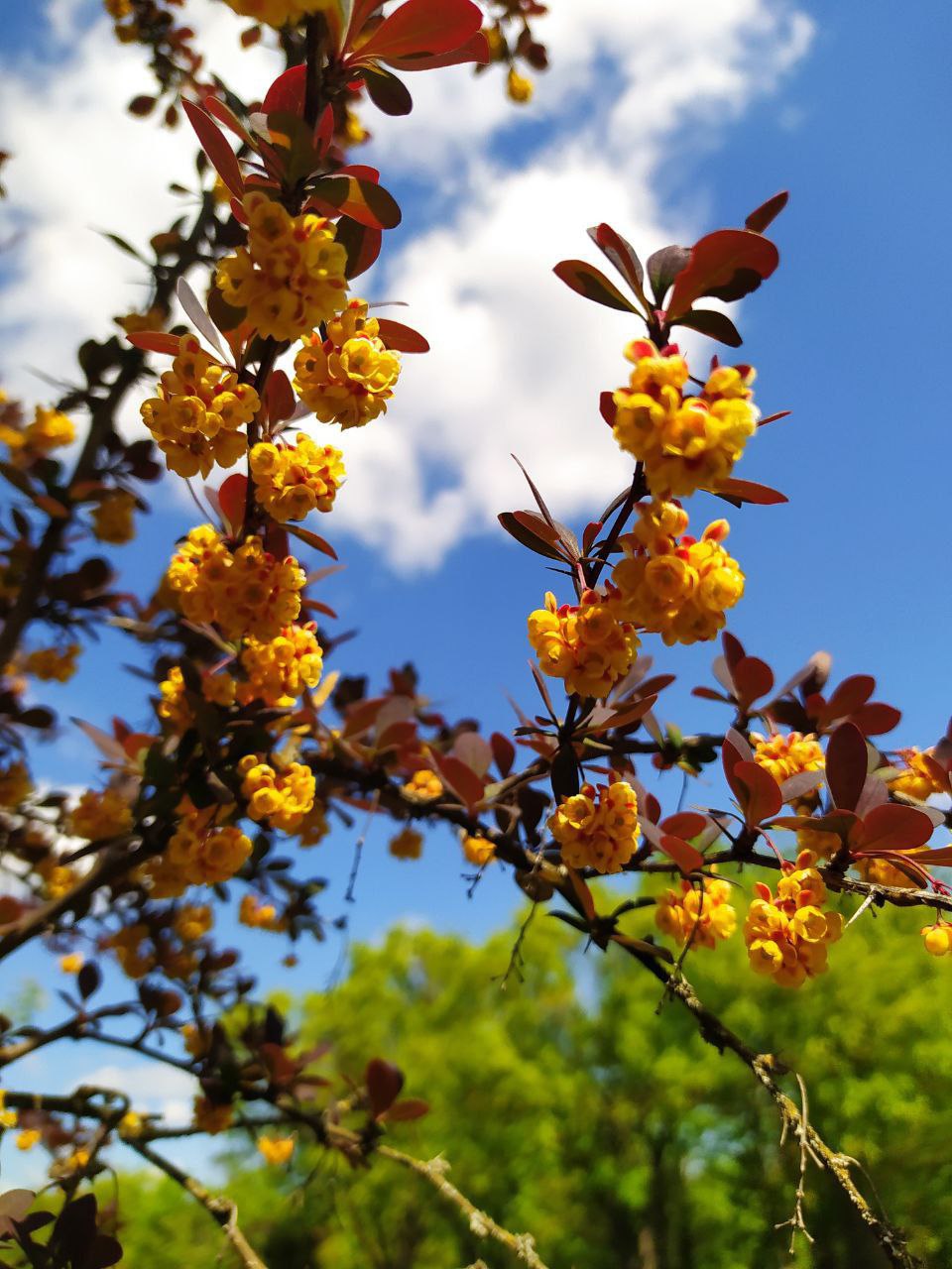 Экскурсии 9 и 11 мая