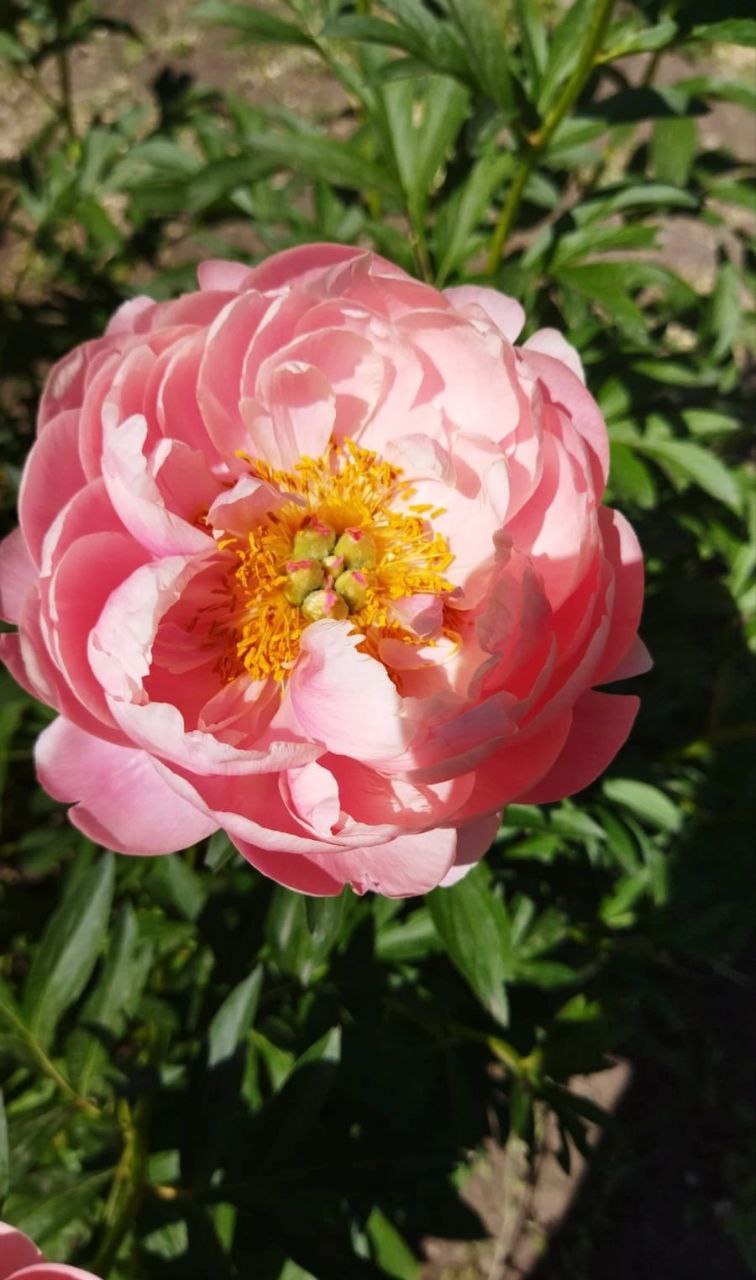 Экскурсии 9 и 11 мая