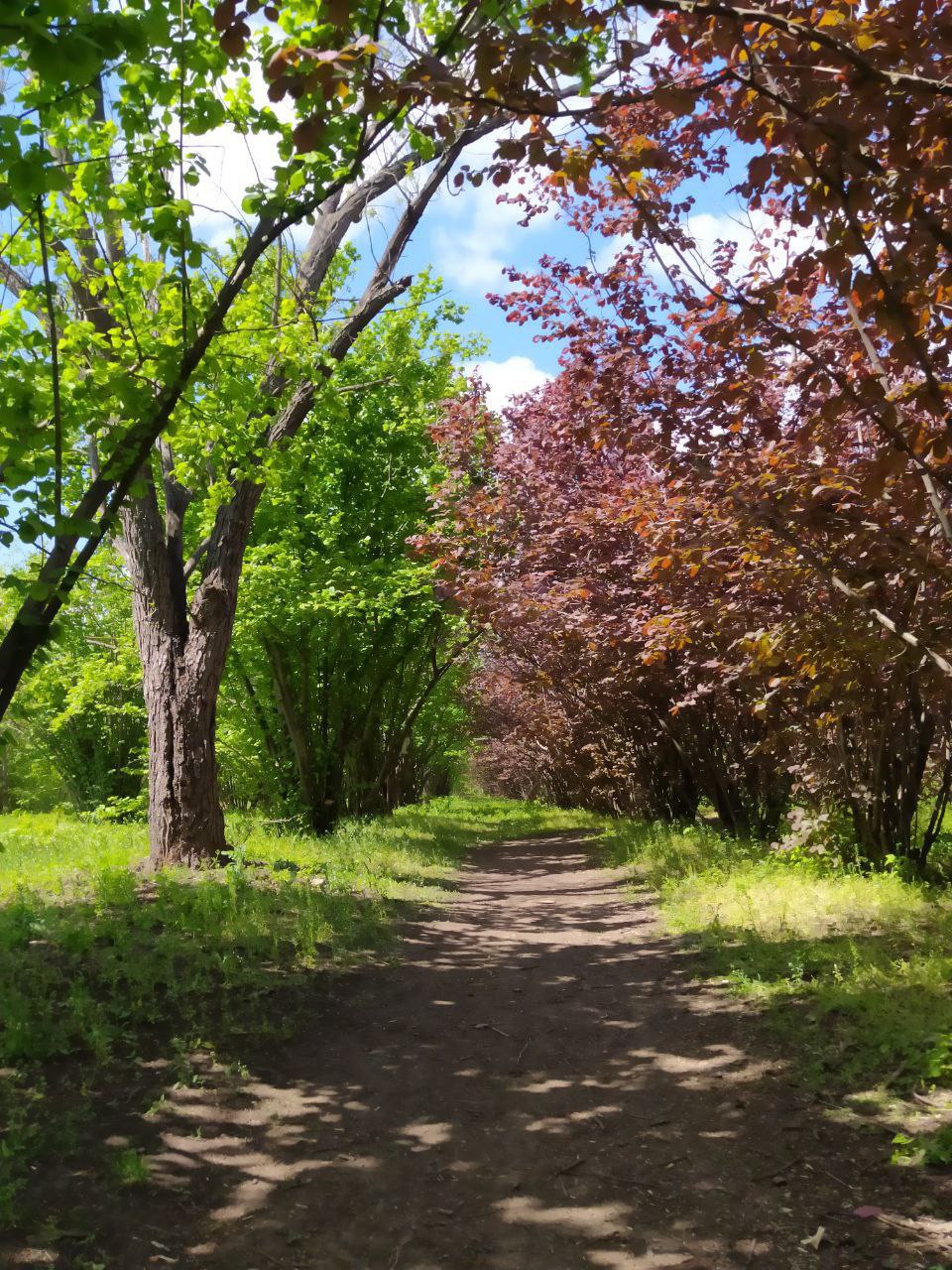 Экскурсии 9 и 11 мая