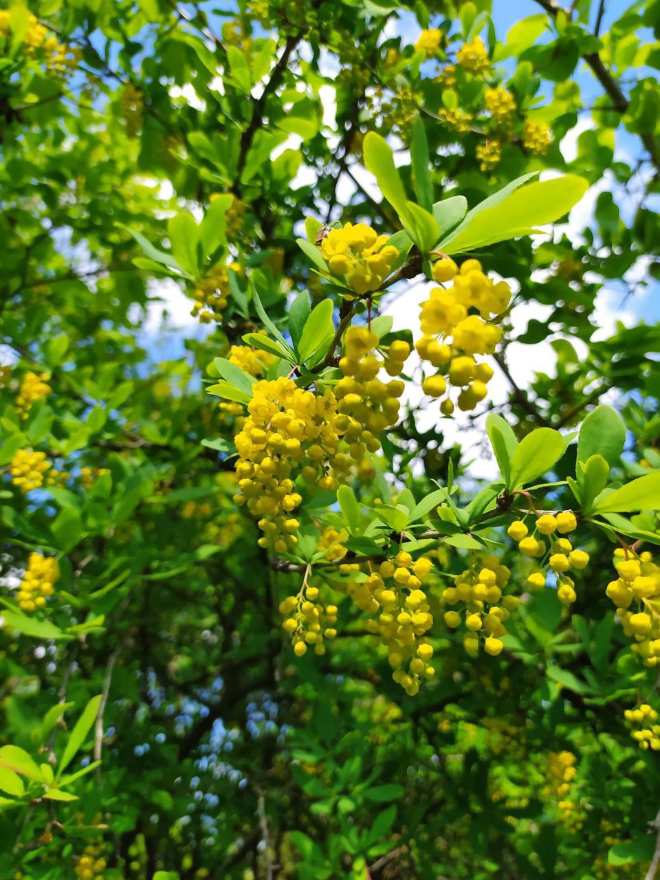 Экскурсии 9 и 11 мая