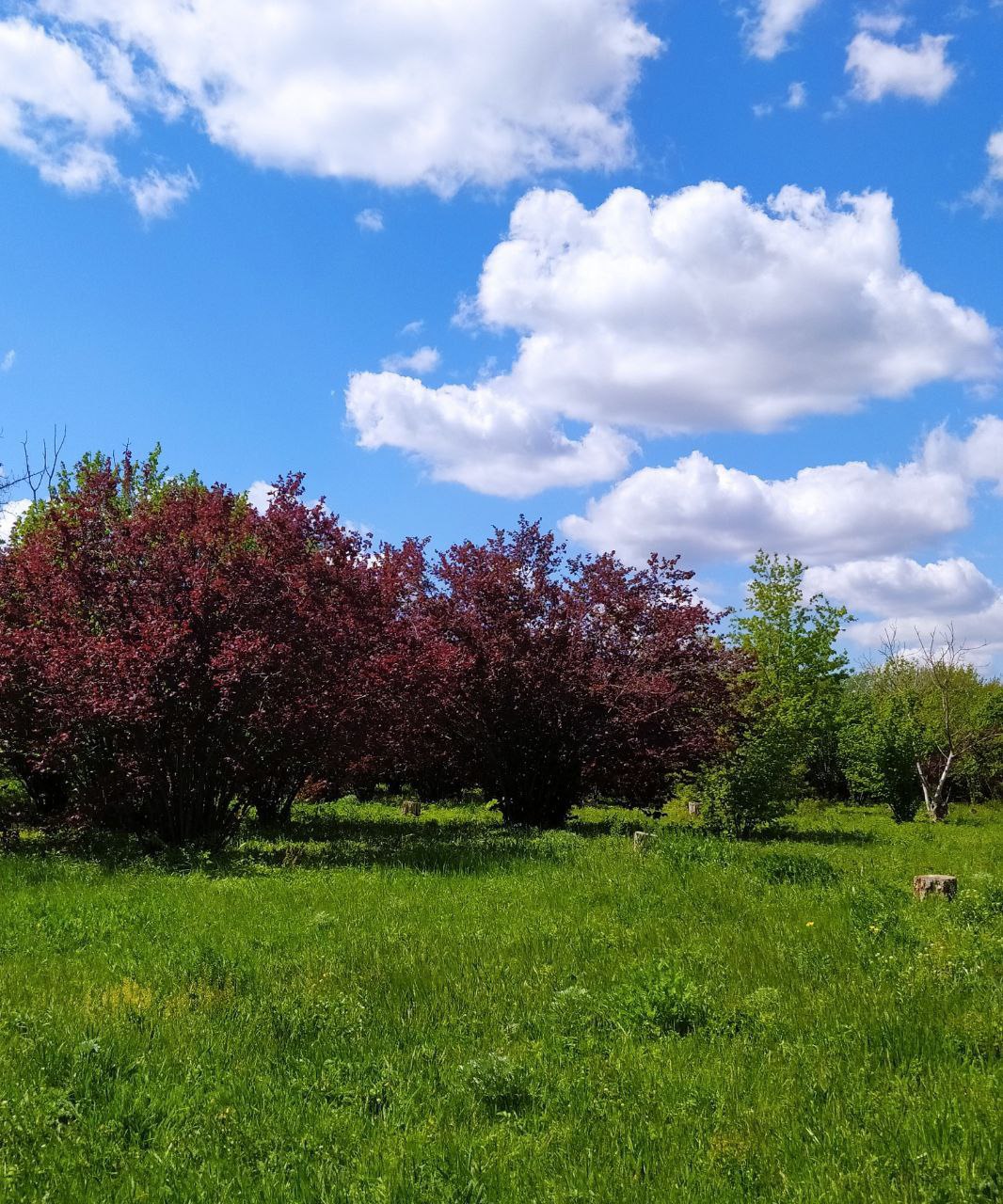 Экскурсии 9 и 11 мая